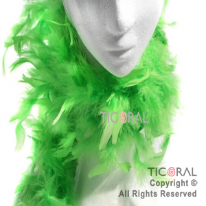 BOA HS2374-11 PLUMAS VERDE MANZANA 2MTS (40GRS) x 1 BOA HS2374-11 PLUMAS VERDE MANZANA 2MTS (40GRS) x 1