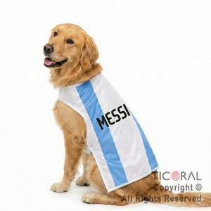 DISFRAZ ARGENTINA ROPA PARA PERROS GRANDES TALLE 3
