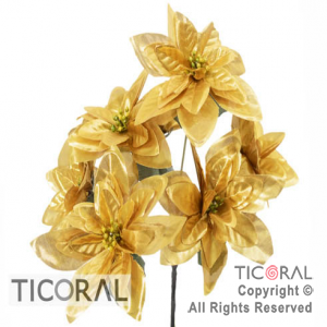 RAMO ESTRELLA FEDERAL ORO 7 FLORES HS1296-2 x 1