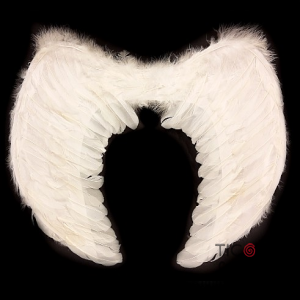 ALAS DE ANGEL CON PLUMAS BLANCAS 60 x 40 cm X 1