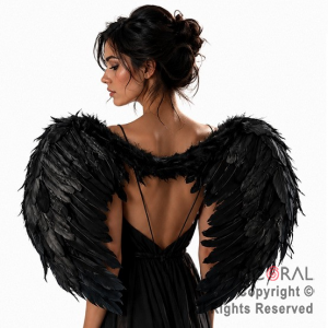 ALAS DE ANGEL CON PLUMAS NEGRAS PREMIUM 80 x 60 cm