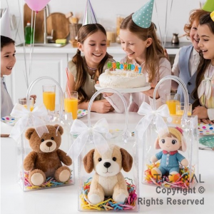 BOLSITAS PVC TRANSPARENTE CON MANIJAS Y BROCHE 15X13X7 CM (PACK X 10 UNIDADES)