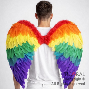 ALAS DE ANGEL CON PLUMAS MULTICOLOR 60 x 40 cm X 1