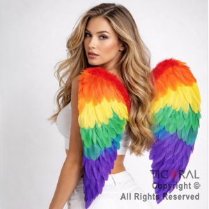 ALAS DE ANGEL CON PLUMAS MULTICOLOR 60 x 40 cm X 1