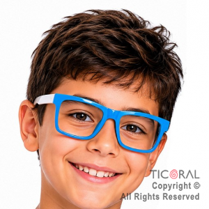ANTEOJO ECO ARGENTINA RAYBAN x 12