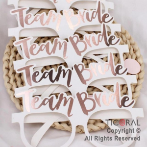 ANTEOJO TEAM BRIDE DE CARTON X 10