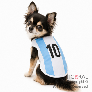 DISFRAZ ARGENTINA ROPA PARA PERROS CHICOS TALLE 1