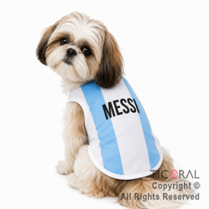 DISFRAZ ARGENTINA ROPA PARA PERROS CHICOS TALLE 1