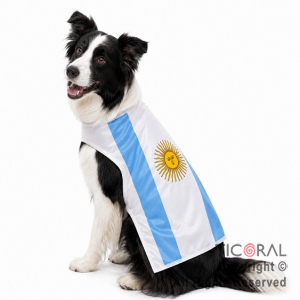 DISFRAZ ARGENTINA ROPA PARA PERROS MEDIANOS TALLE 2