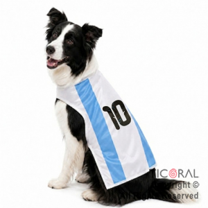DISFRAZ ARGENTINA ROPA PARA PERROS MEDIANOS TALLE 2