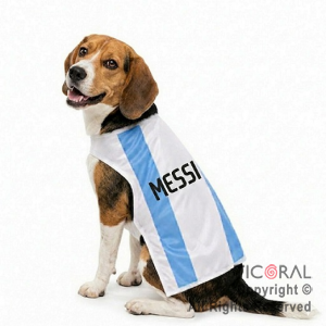 DISFRAZ ARGENTINA ROPA PARA PERROS MEDIANOS TALLE 2
