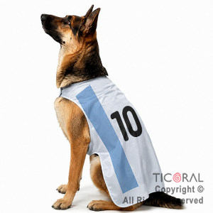 DISFRAZ ARGENTINA ROPA PARA PERROS GRANDES TALLE 3