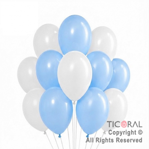 GLOBO BOMBUCHA STANDARD 12