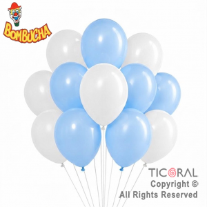 GLOBO BOMBUCHA STANDARD 12