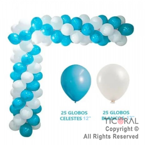 GLOBO BOMBUCHA STANDARD 12