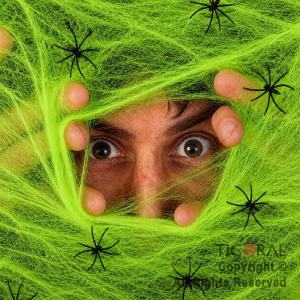 TELARA�A VERDE CON ARA�ITAS