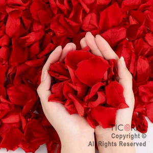 LANZAPAPELITOS 40 CM PETALOS ROJOS