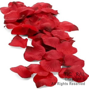 LANZAPAPELITOS 40 CM PETALOS ROJOS