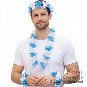 SET HAWAIANO FLORES ARGENTINA VINCHA COLLAR Y 2 PULSERAS CELESTE Y BLANCA