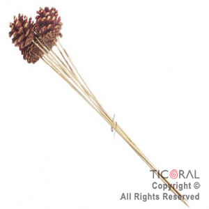 PINCHE PI�A ROJA 35 CM APROX HS247 x 8