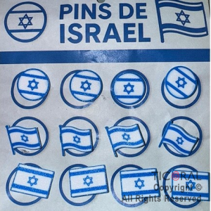 PINS DE ISRAEL PLASTICOS x 12