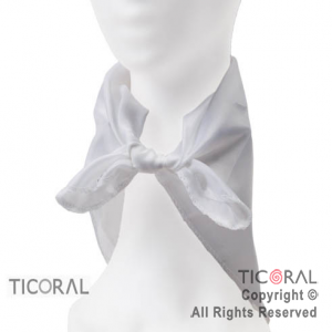 PA�UELO BLANCO PATRIO X 1