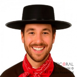 SOMBRERO GAUCHO NEGRO x 1