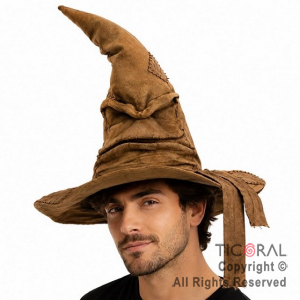 SOMBRERO DE MAGO SELECCIONADOR HARRY POTTER X 1