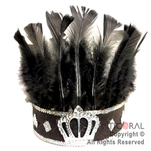 CORONA DE REY CON PLUMAS NEGRAS x 1